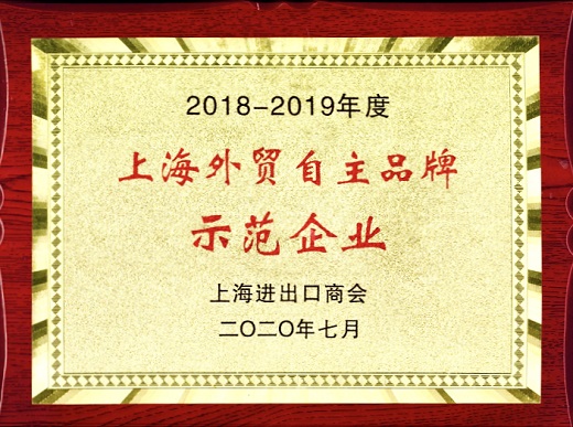 上海唬唬；；；g亚洲集团 声誉奖牌